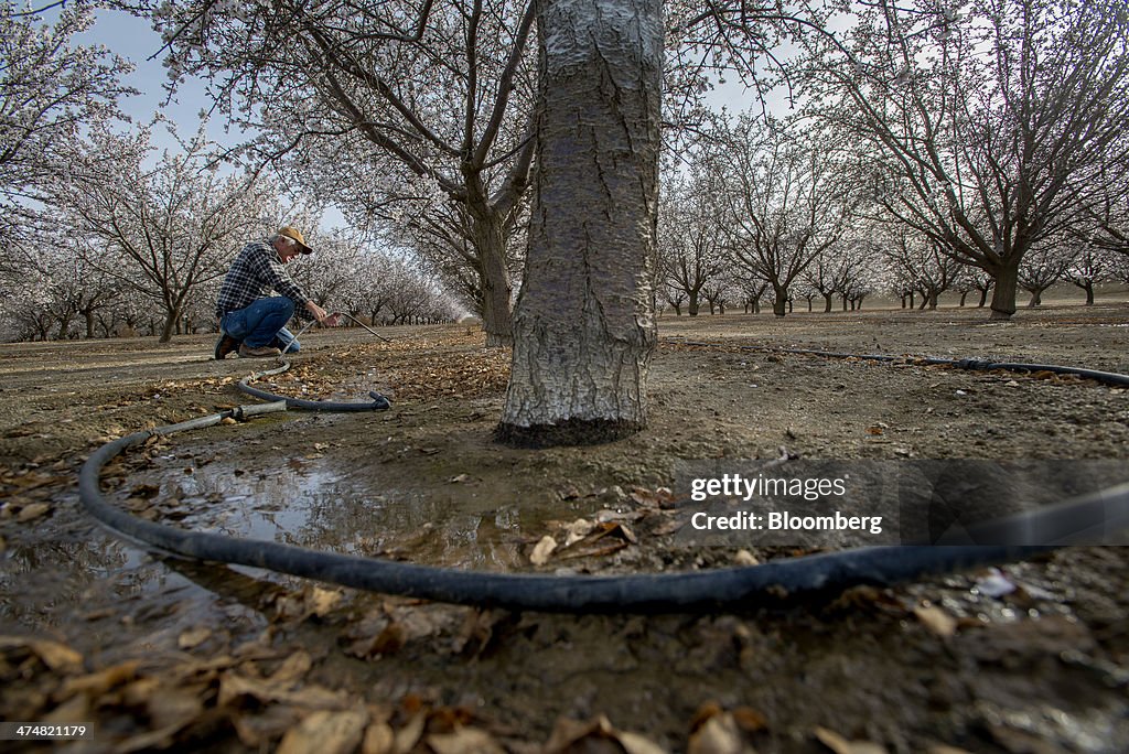 Drought Means No U.S. Water Delivery For California Farmers