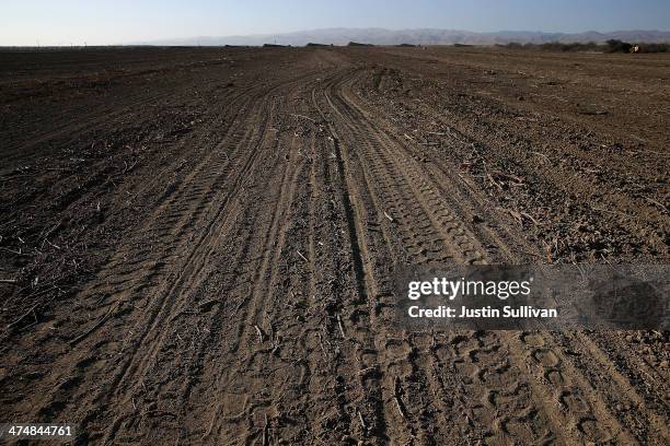 Tire fill a field that used to have almond trees at Baker Farming on February 25, 2014 in Firebaugh, California. Almond farmer Barry Baker of Baker...