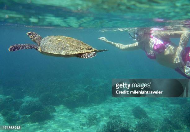frau snorkels mit grünen meeresschildkröte neugierig tanikely insel madagaskar - madagascar stock-fotos und bilder