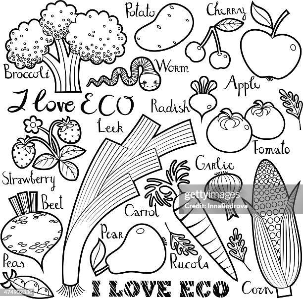 ich liebe eco.   obst und gemüse mit aufschrift - arugula stock-grafiken, -clipart, -cartoons und -symbole