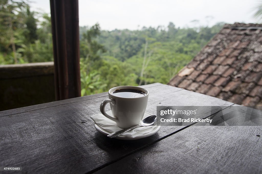 Kopi Luwak