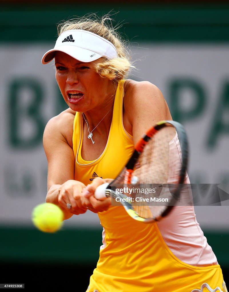 2015 French Open - Day Five