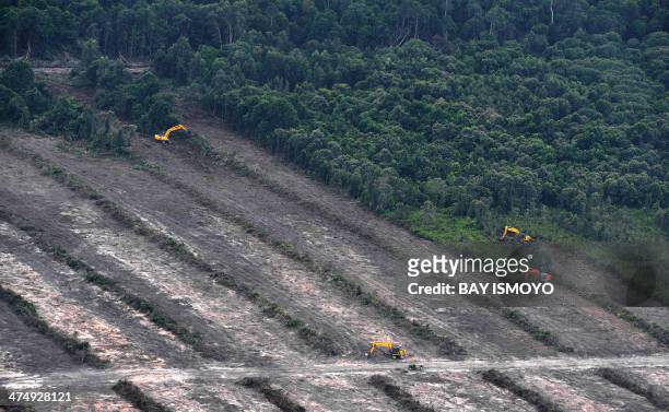 This photograph taken on February 24, 2014 during an aerial survey mission by Greenpeace at East Kotawaringin district in Central Kalimantan province...