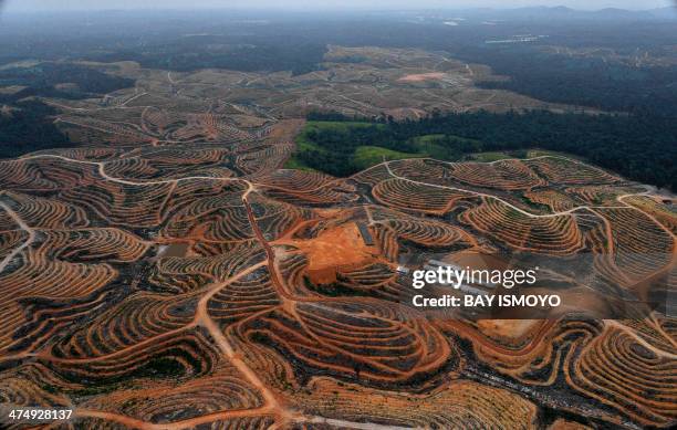 This photograph taken on February 24, 2014 during an aerial survey mission by Greenpeace at East Kotawaringin district in Central Kalimantan province...