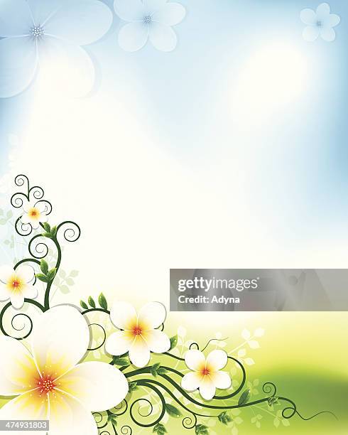 stockillustraties, clipart, cartoons en iconen met flower background - jasmine flower