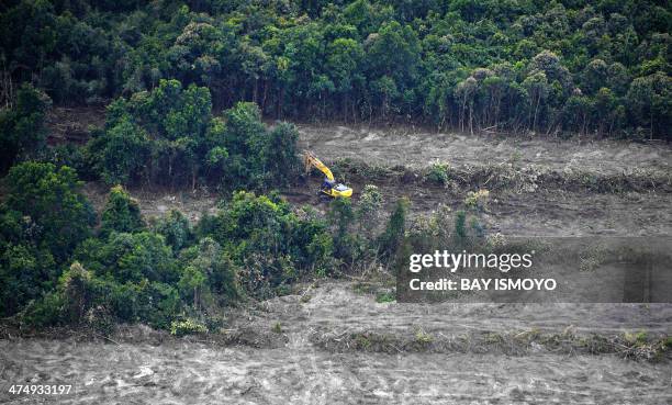 This photograph taken on February 24, 2014 during an aerial survey mission by Greenpeace at East Kotawaringin district in Central Kalimantan province...