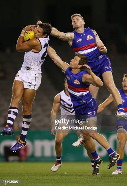 Matthew Pavlich of the Dockers marks the ball against Jordan Roughead and Dale Morris of the Bulldogs marks the ball during the round three AFL NAB...