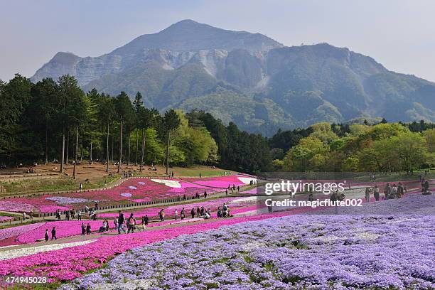 芸術写真 Someday  /  H,Murayama   106cm X 75cm 154 Hitsujiyama Park Japan Stock Photos, High-Res Pictures, and