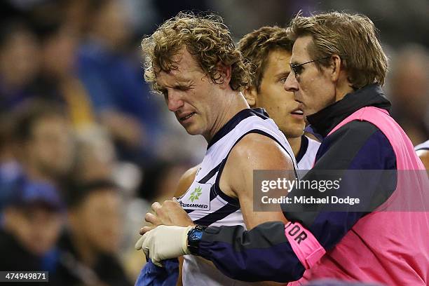 David Mundy of the Dockers comes off with an eye injury during the round three AFL NAB Challenge match between the Western Bulldogs and the Fremantle...