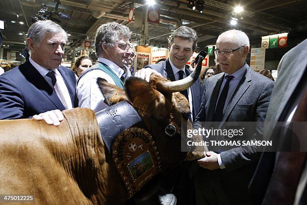 French minister of Industrial Renewal Arnaud Montebourg and French Junior Minister for European Affairs Thierry Repentin pet a cow as they visit the...