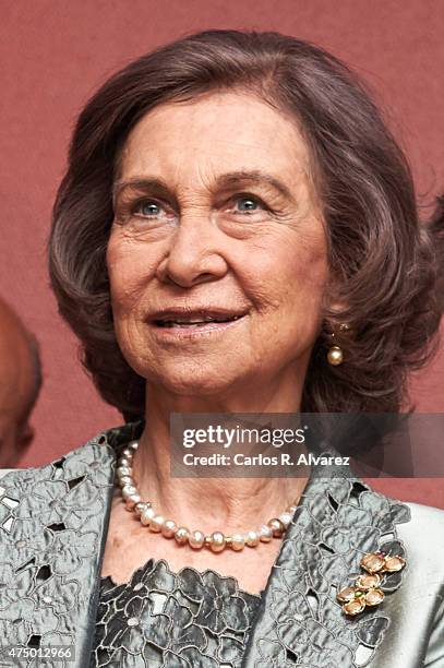 Queen Sofia attends RTVE Orchestra 50th anniversary concert at the Monumental Theater on May 28, 2015 in Madrid, Spain.