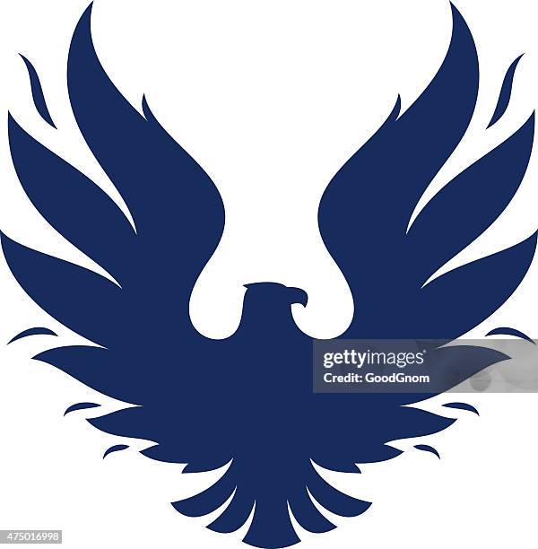 eagle - eagle feather isolated stock illustrations