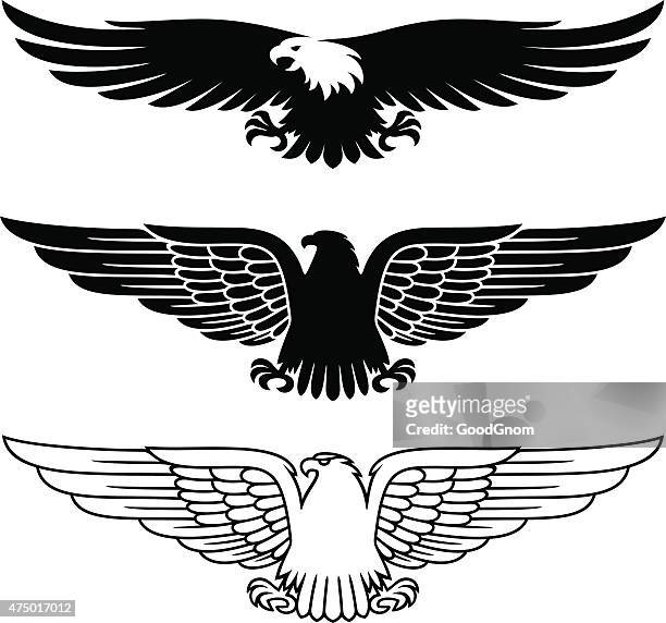 eagles set - adler stock-grafiken, -clipart, -cartoons und -symbole