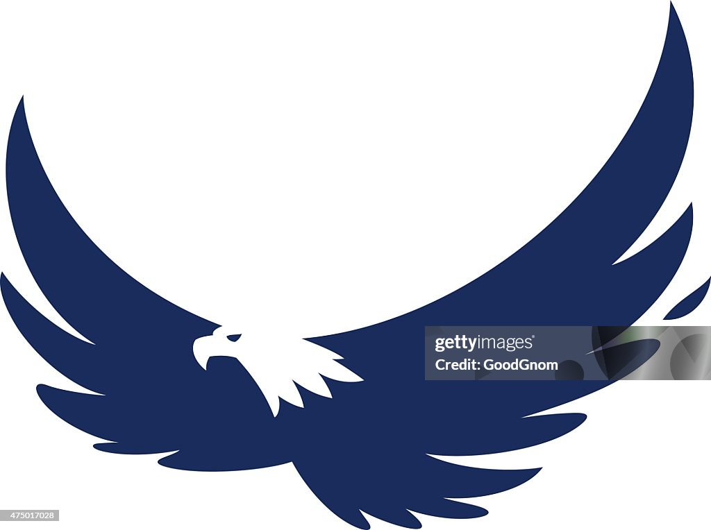 Soaring eagle
