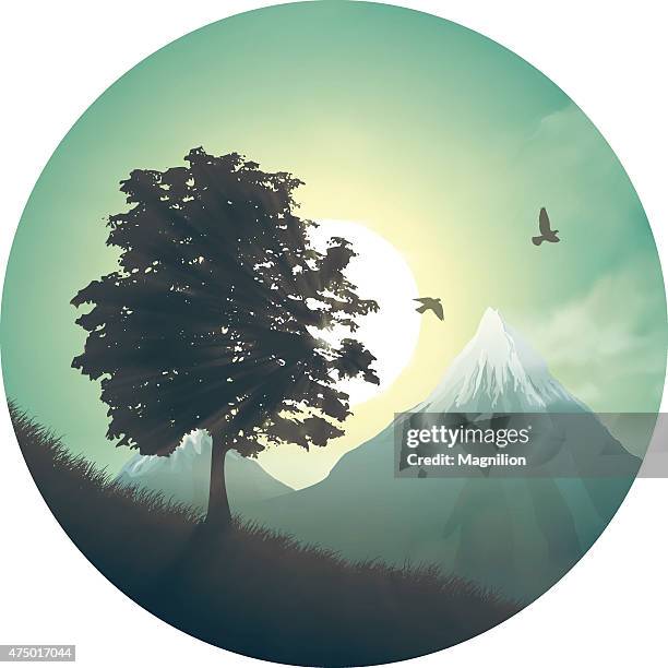 misty morning with trees and birds - mt dew stock illustrations
