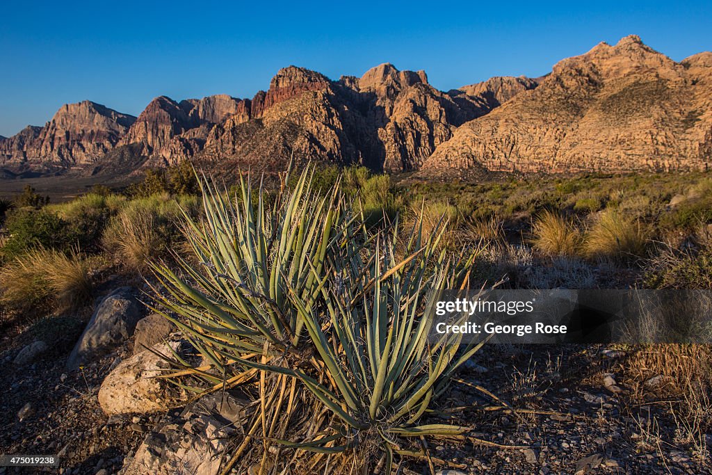 Exploring Red Rock Canyon National Conservation Area