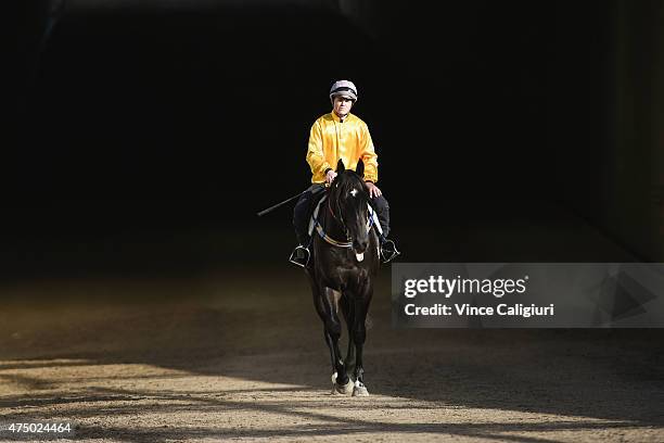 Craig Williams riding Brazen Beau walks back to the stables after defeating Damien Oliver riding Wandjina in a jump out down the straight course at...
