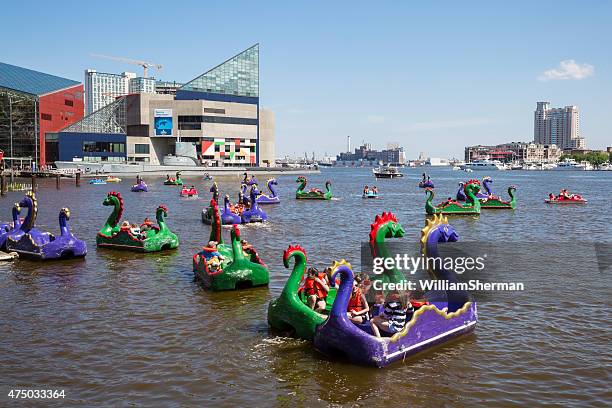 drago paddle boads marylands il baltimore inner harbor - battello-con-ruota-a-pale foto e immagini stock