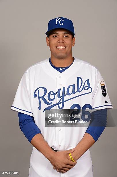 Francisco Pena of the Kansas City Royals poses during Photo Day on Monday, February 24, 2014 at Surprise Stadium in Surprise, Arizona.