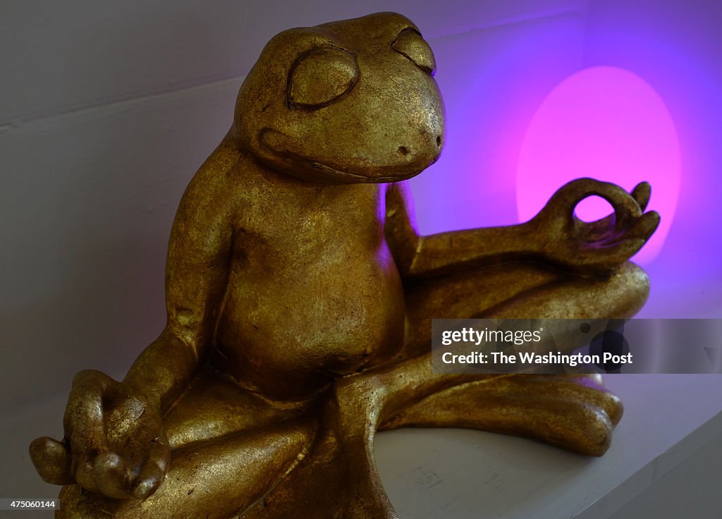 SILVER SPRING - MAY 20: A meditating frog sculpture at the entr