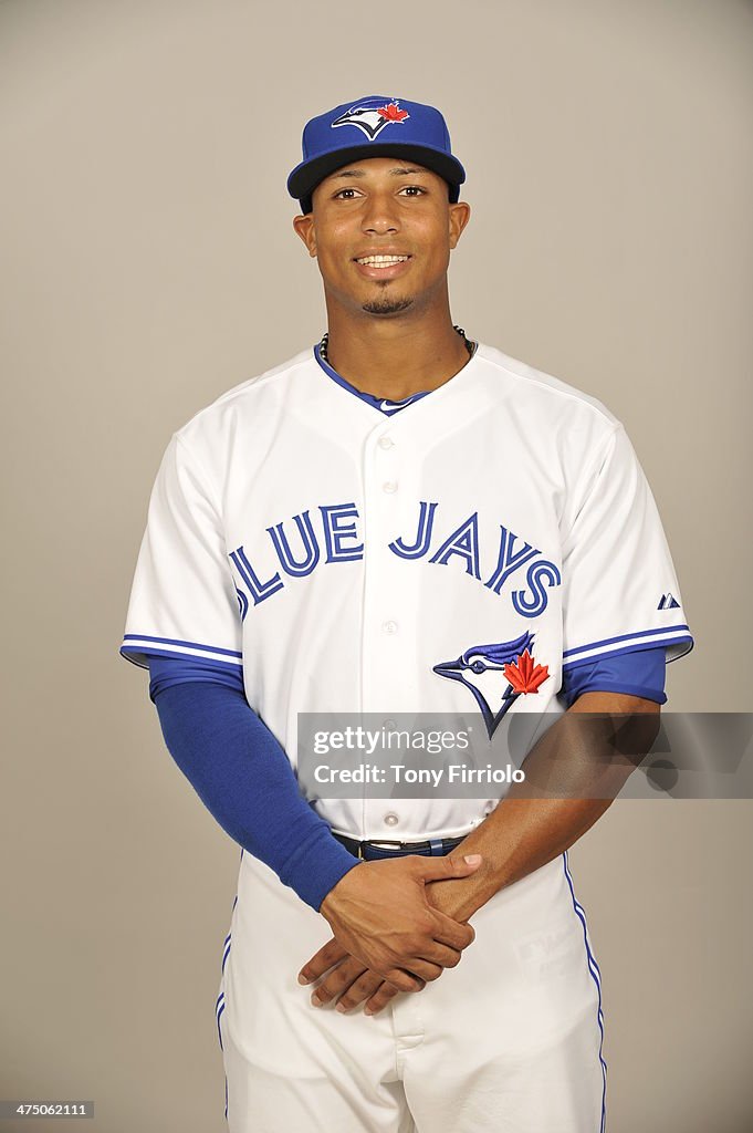 2014 Toronto Blue Jays Photo Day