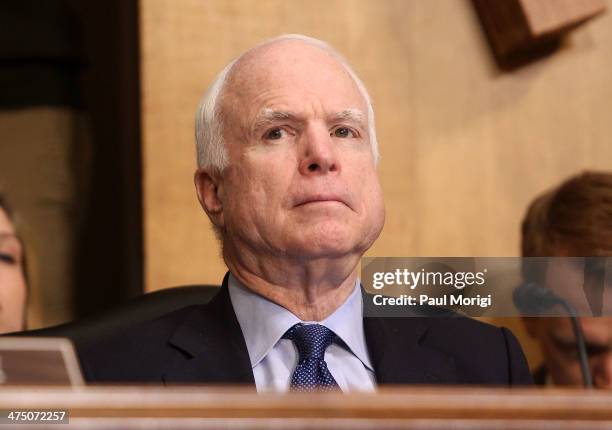 Senator John McCain attends the US Senate Hearing On The Democratic Republic Of Congo at Dirksen Senate Office Building on February 26, 2014 in...