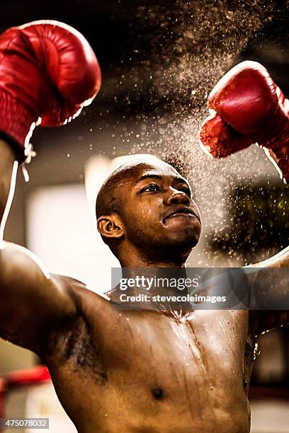 young woman boxer. - boxing winner stock pictures, royalty-free photos & images