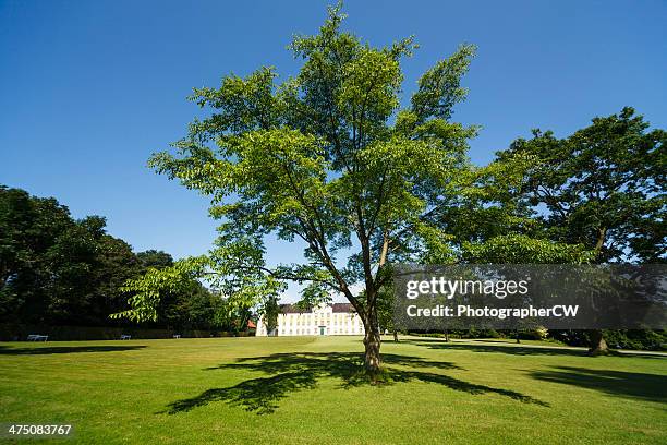 augustenborg palace - jutland stockfoto's en -beelden