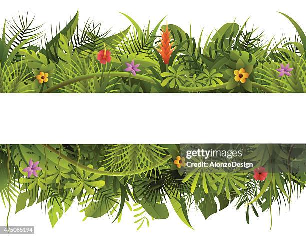illustrations, cliparts, dessins animés et icônes de bannière forêt tropicale - jungle tropicale végétation