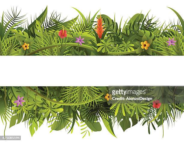 tropical forest banner - rainforest stock illustrations