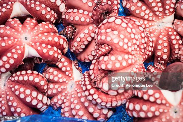Tako Example Japanese Tako Photos and Premium High Res Pictures - Getty Images