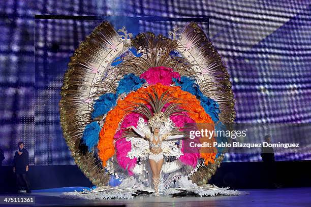 Nominee for Queen of the 2013 Santa Cruz carnival Noemi Hormiga performs on February 26, 2014 in Santa Cruz de Tenerife on the Canary island of...