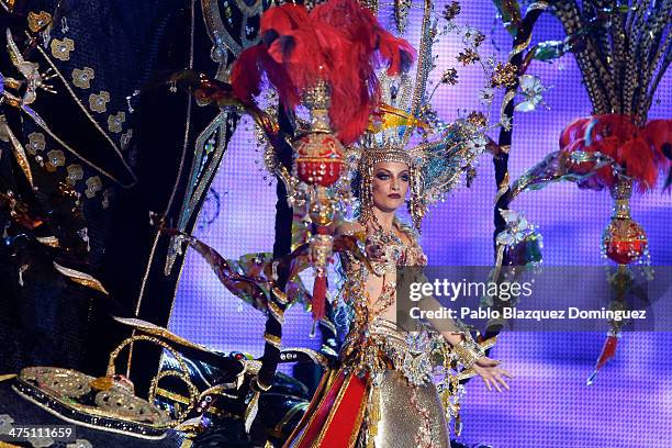 Nominee for Queen of the 2013 Santa Cruz carnival Paula Delgado performs on February 26, 2014 in Santa Cruz de Tenerife on the Canary island of...