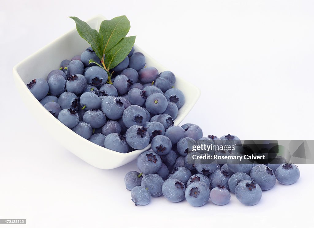 Beautiful, healthy blueberries ready to eat