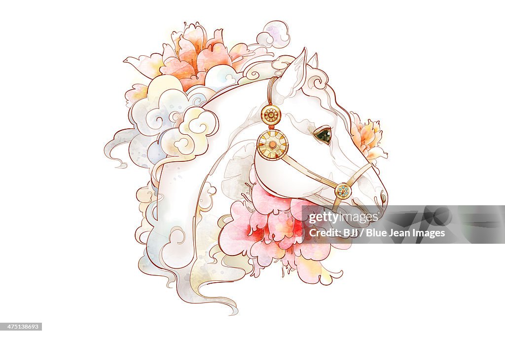 Portrait of white horse