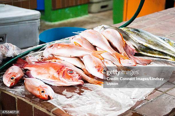 fresh fish on market stall, bridgetown, barbados - barbados stock-fotos und bilder