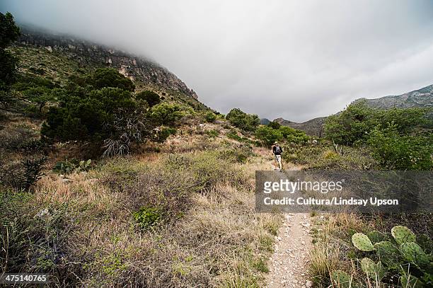 young man hiking, guadalupe mountains, texas, usa - parque nacional de las montañas de guadalupe fotografías e imágenes de stock