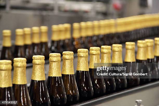 beer bottles on conveyor belt in brewery - bierflaschen fließband stock-fotos und bilder