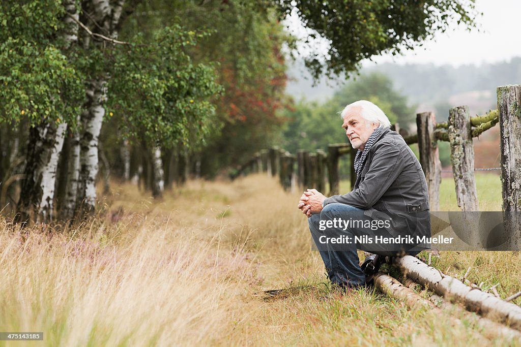 Senior man sitting on log