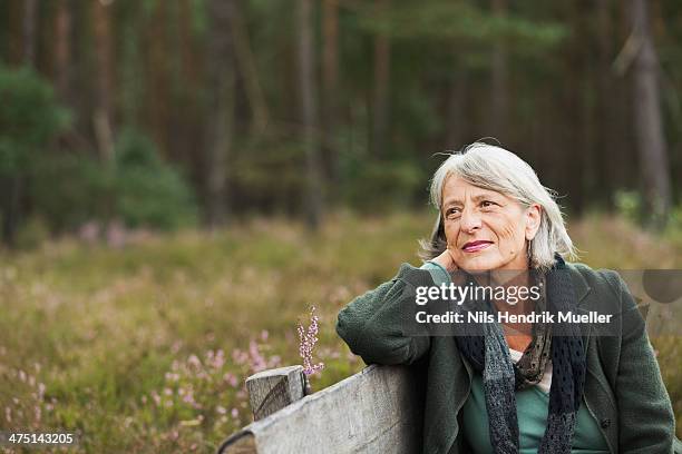 senior woman on bench looking away - smiling natural woman countryside stock pictures, royalty-free photos & images