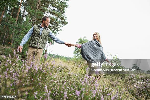 mid adult couple holding hands in meadow - luneburger heath stock pictures, royalty-free photos & images