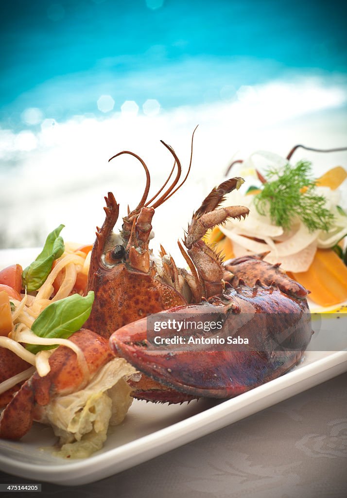 Still life of seafood platter with basil and dill garnish