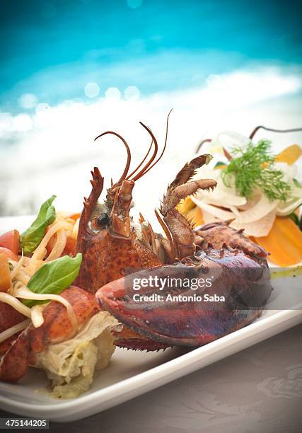 still life of seafood platter with basil and dill garnish - seafood platter stock pictures, royalty-free photos & images