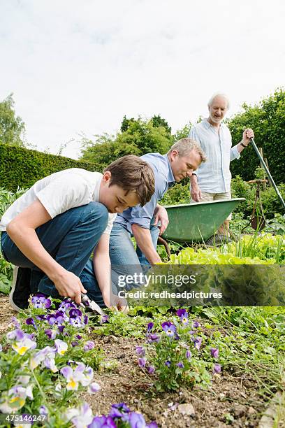 grandfather, father and son gardening - father and son gardening stock pictures, royalty-free photos & images