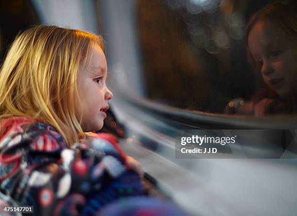 girl looking out of a bus window during a journey at night - great expectations stock pictures, royalty-free photos & images