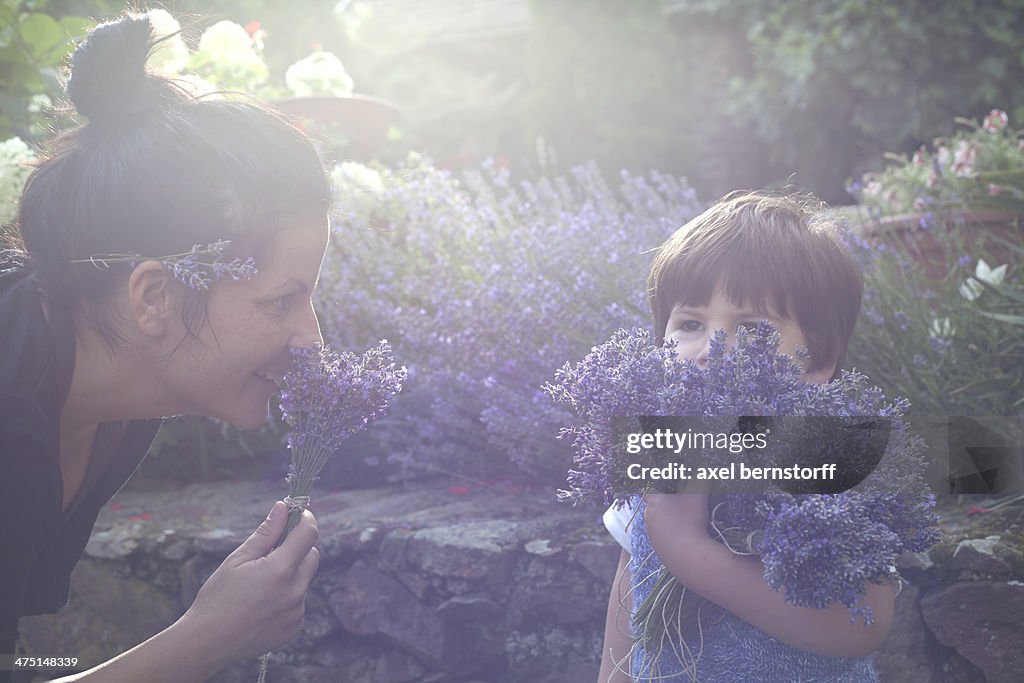 Mother and toddler son smelling bunch of lavender