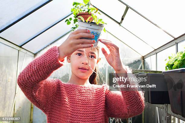 girl holding plant pot, looking at roots - scientific development and splendid achievements stock pictures, royalty-free photos & images