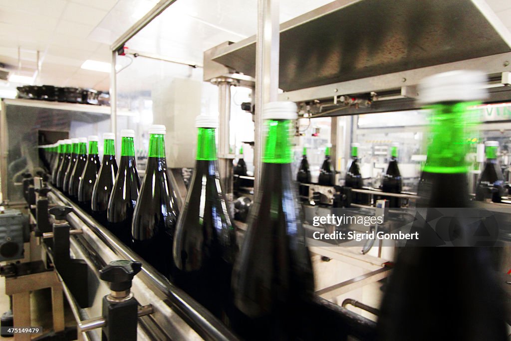 Bottling machine in industrial wine cellar