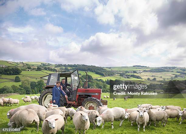 farmer in tractor with son watching sheep in field - flock of sheep stock pictures, royalty-free photos & images