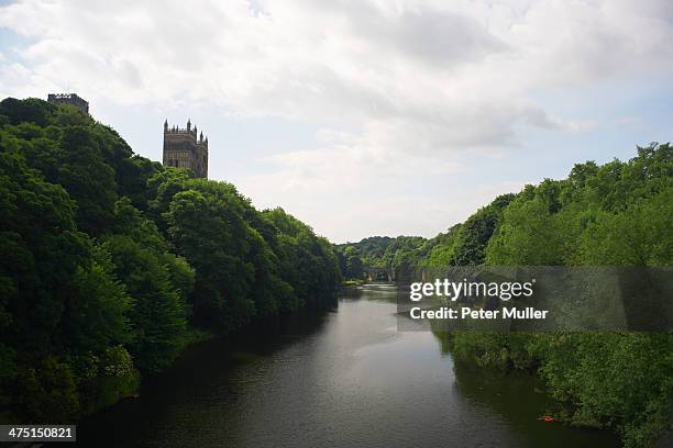 view of river wear and durham cathedral, united kingdom - river wear stock pictures, royalty-free photos & images